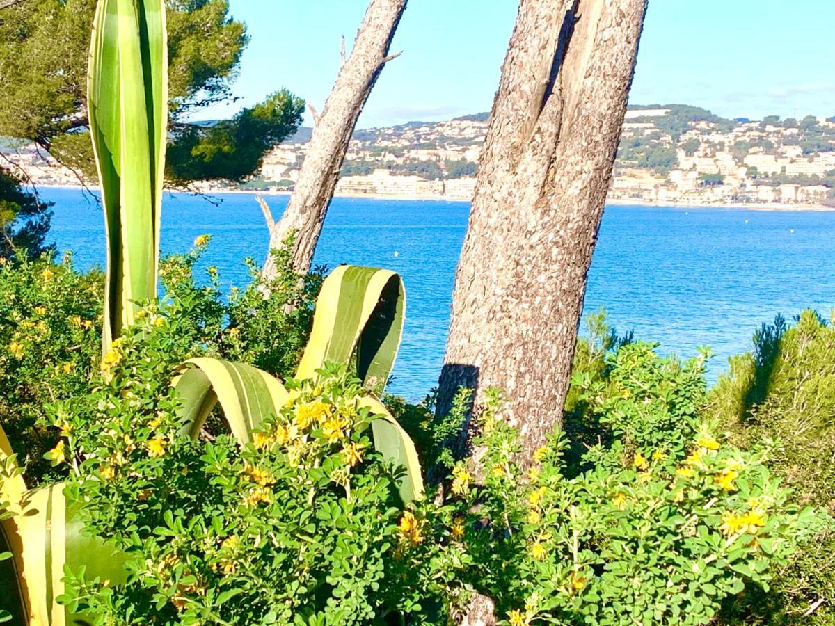 La A 5 Minutes A Pied, Calme Et Verdure Sanary-sur-Mer